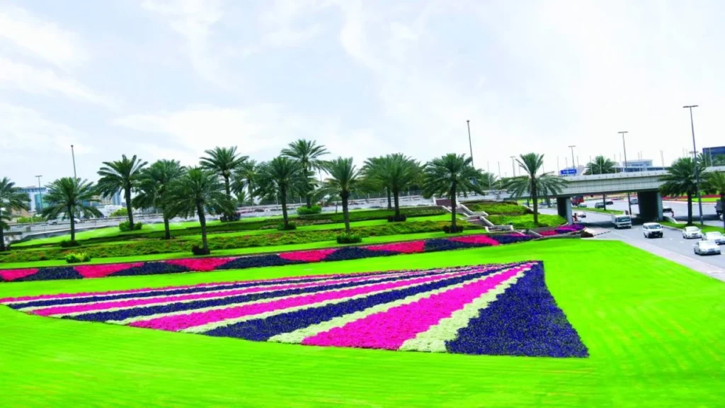 مساحات خضراء شاسعة.. دبي تسجل 55 مليون متر مربع من المناطق الطبيعية المتطورة